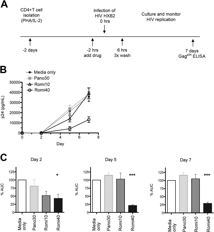 FIG 3