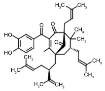 Fig. (1)