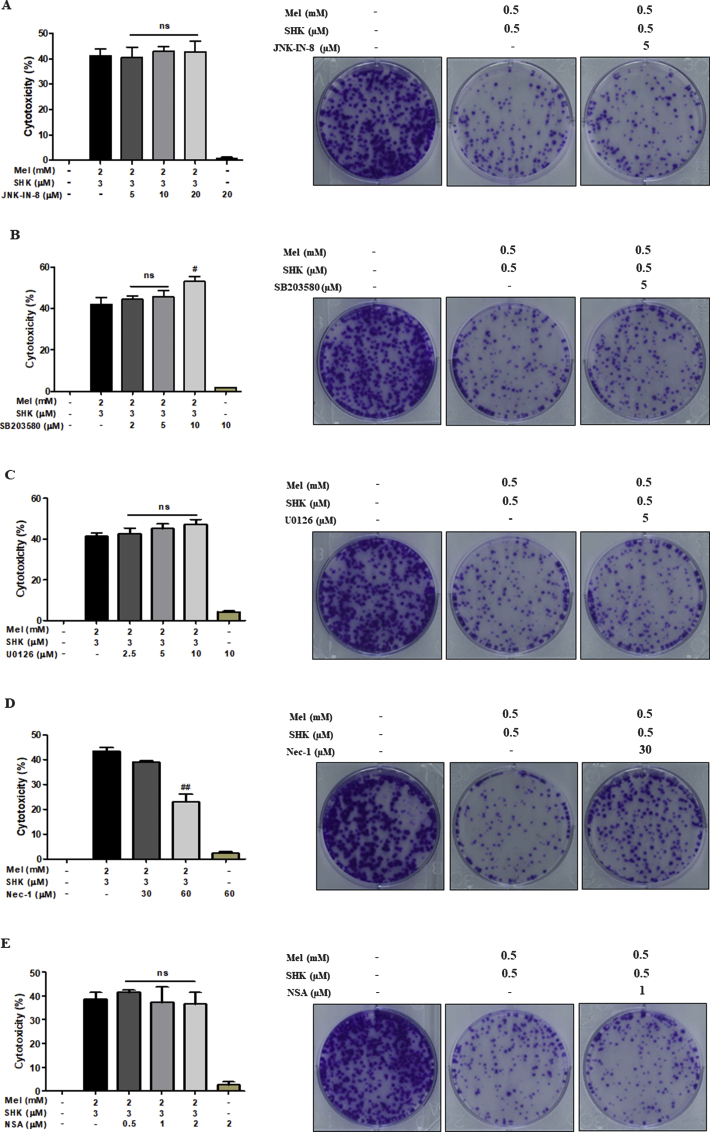 Supplementary Fig. 4