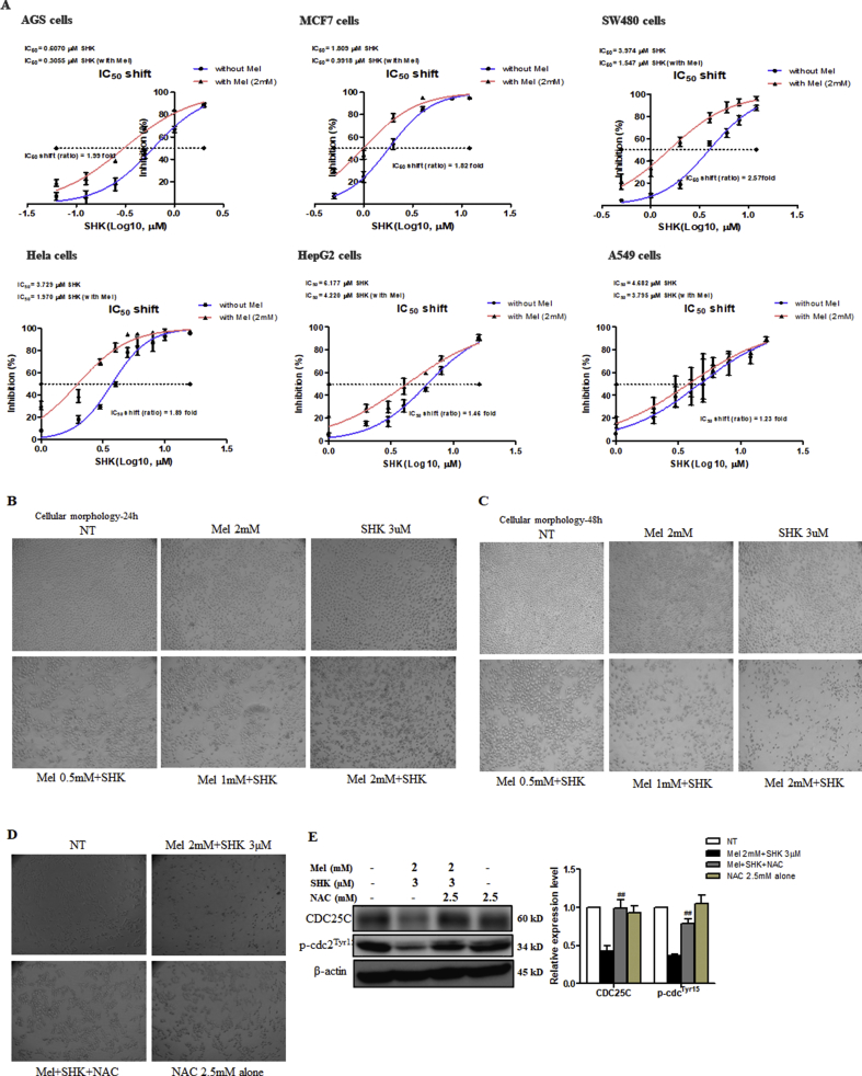 Supplementary Fig. 2