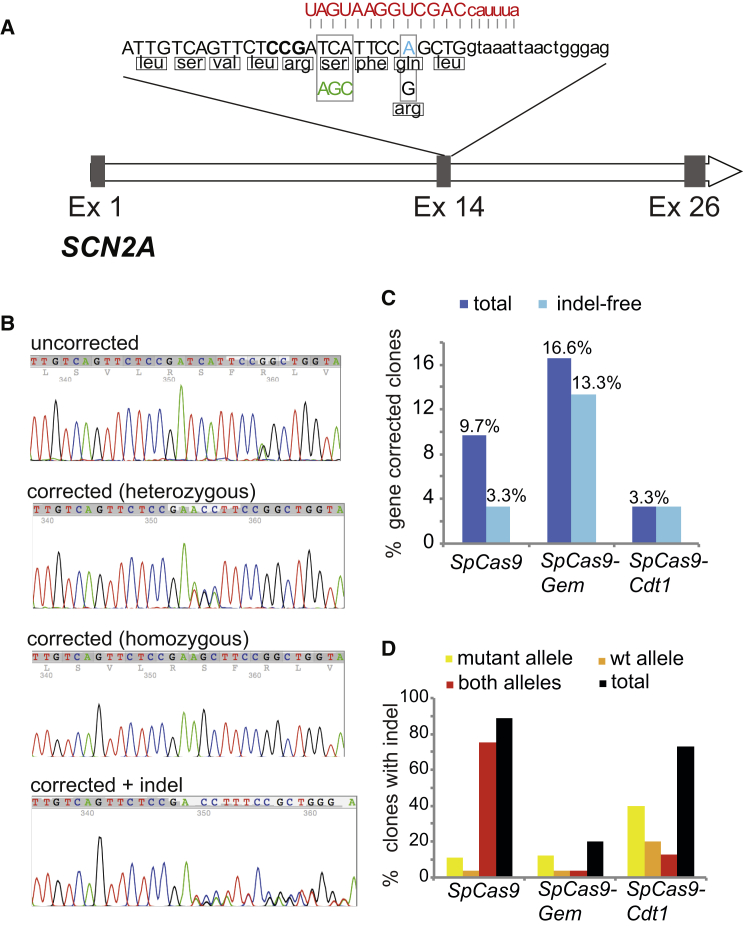 Figure 3