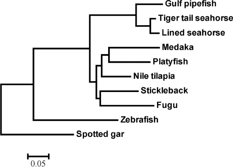 Figure 2: