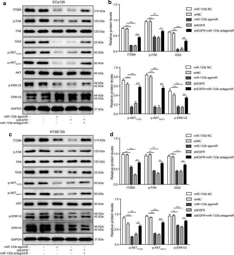 Fig. 6