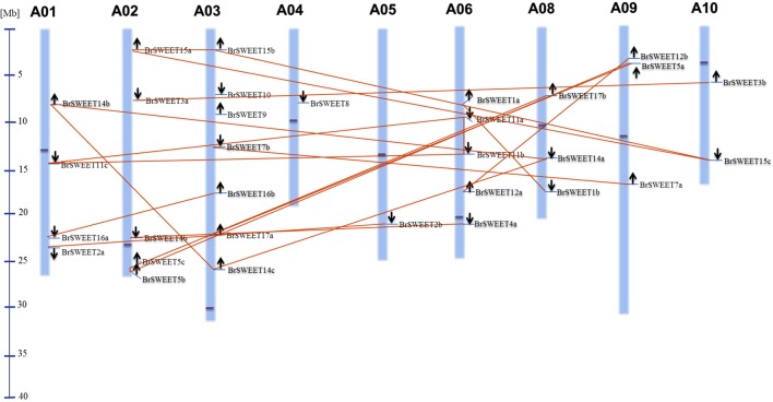 FIGURE 3