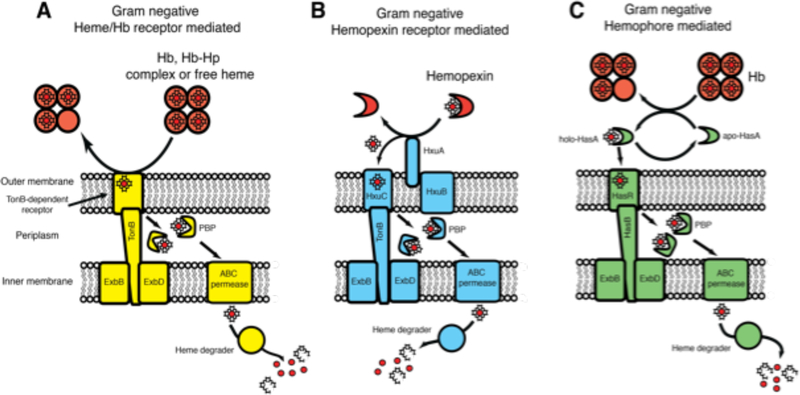 Figure 10