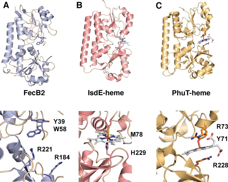 Figure 16