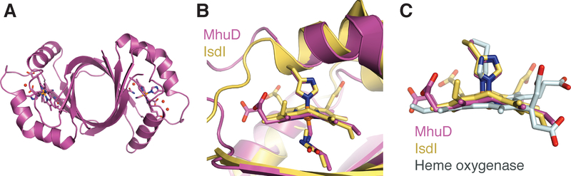 Figure 19