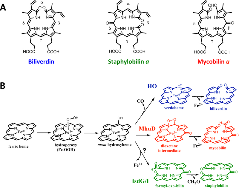 Figure 17