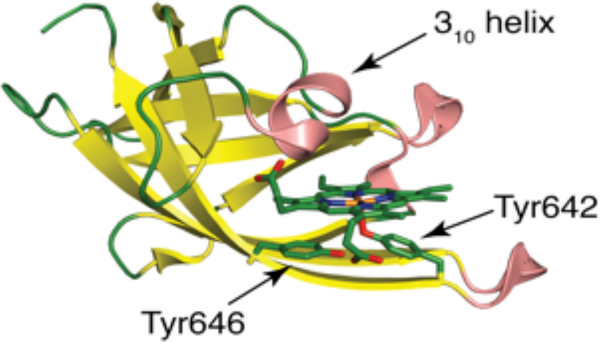 Figure 12.