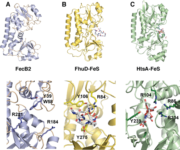 Figure 9