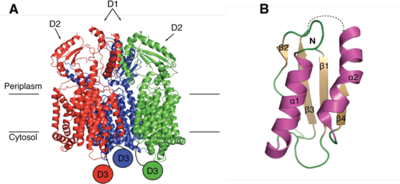 Figure 15