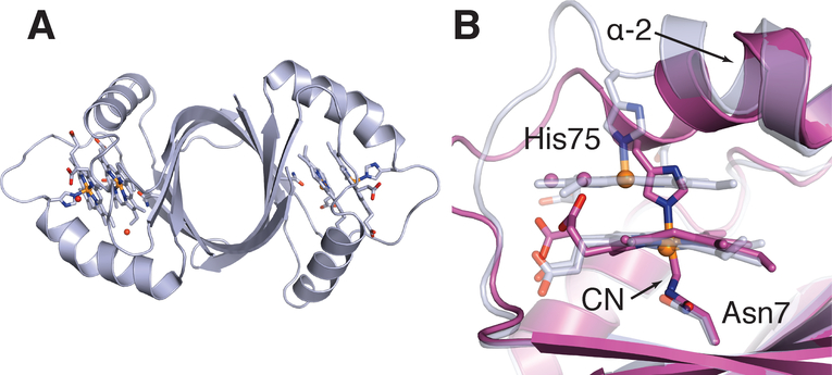 Figure 20