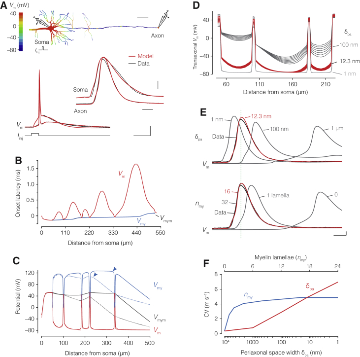 Figure 7