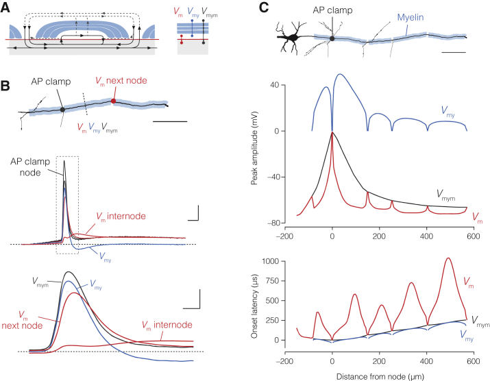 Figure 4