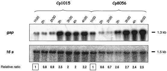 FIG. 3