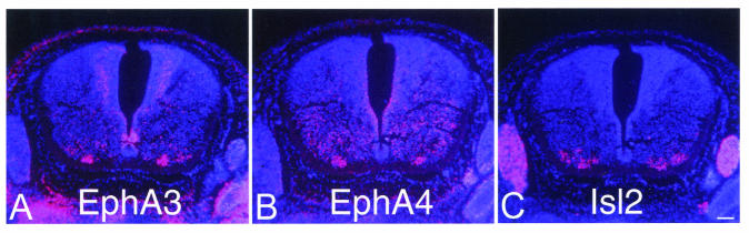 FIG. 6.