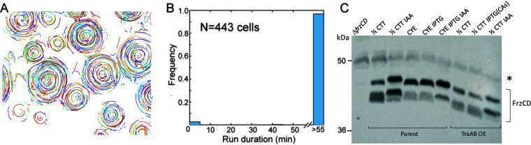 FIG 3