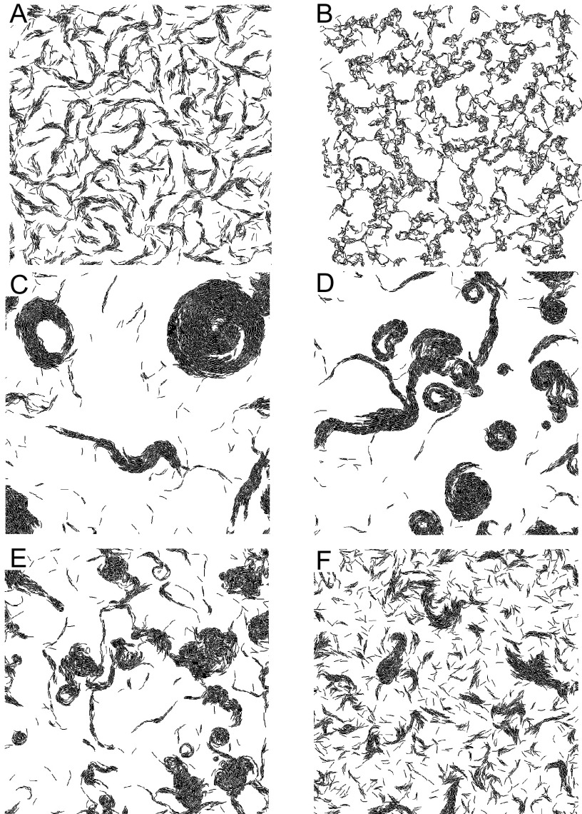 FIG 2