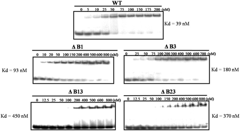 Figure 3.