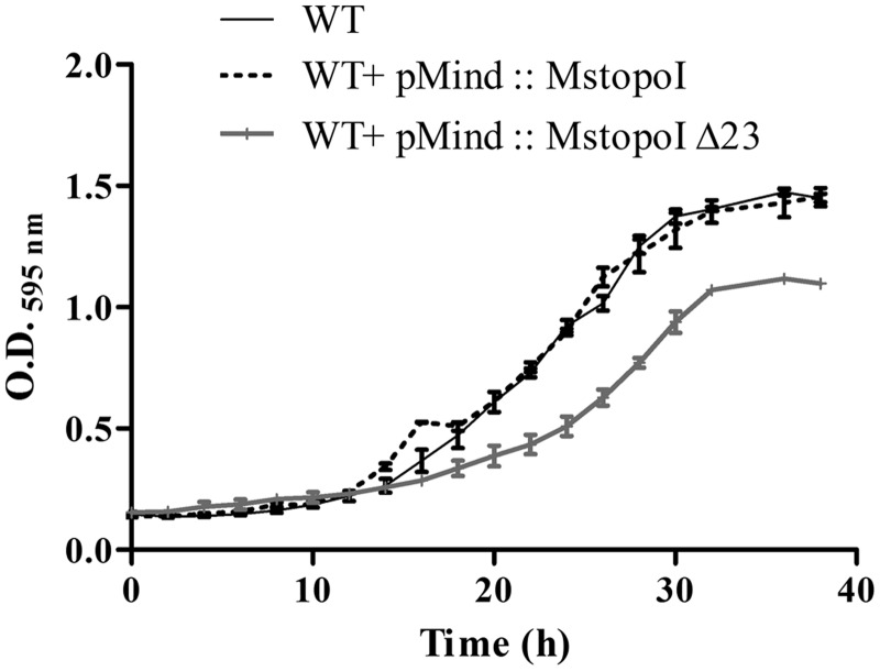 Figure 6.