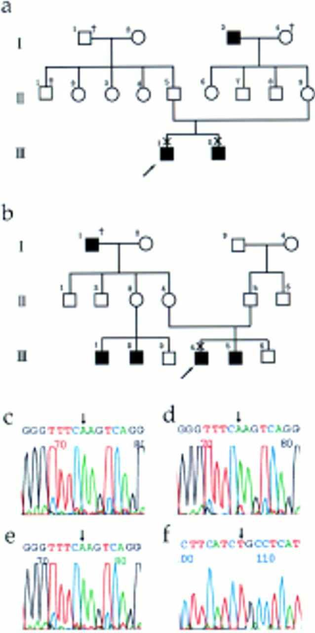 Figure 1  