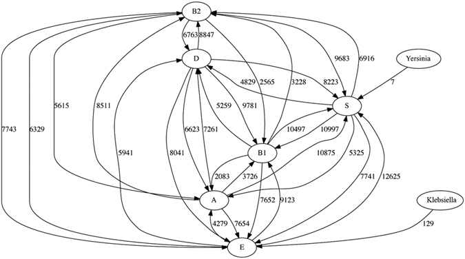 Figure 7