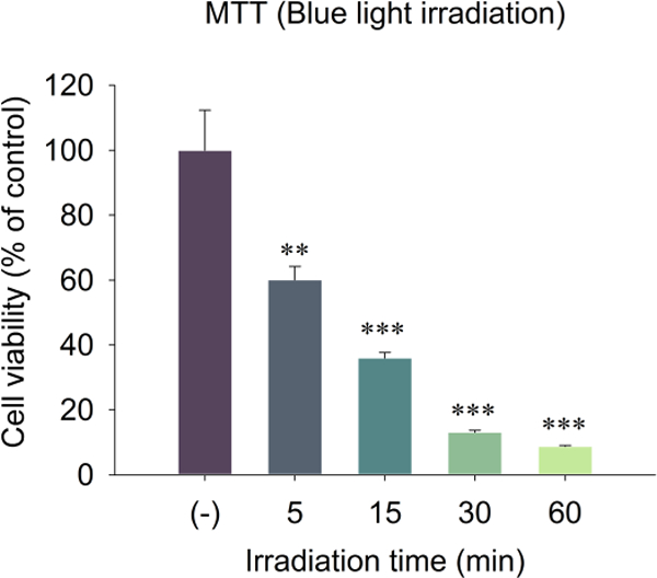 Fig. 10.