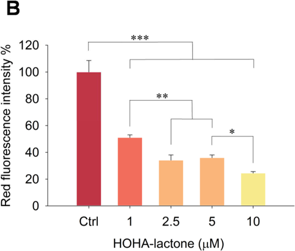 Fig. 14.