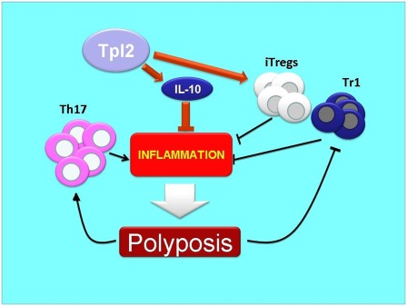 Fig. P1.