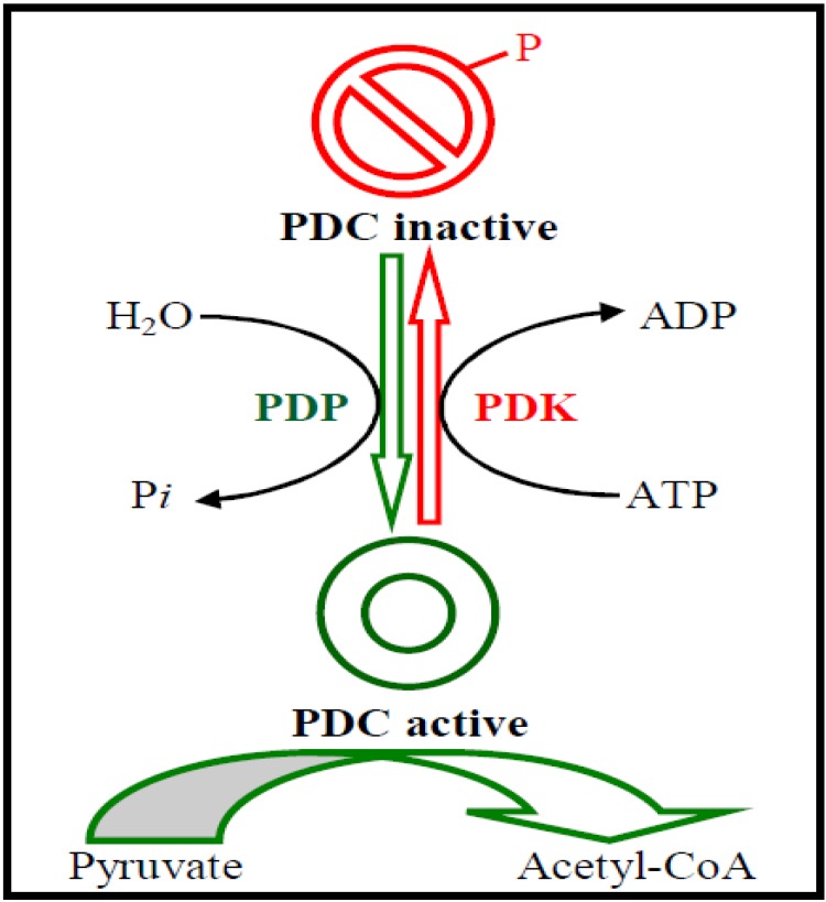 Fig. (2)