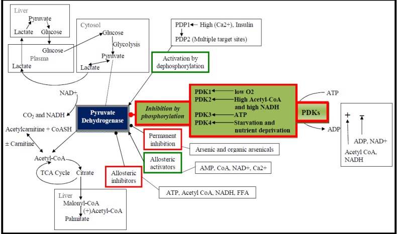 Fig. (1)