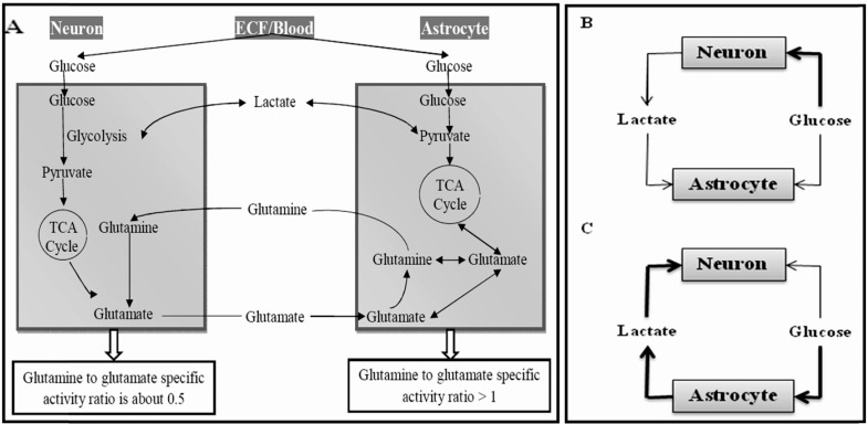 Fig. (3)