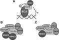 <b>FIG. 2.</b>