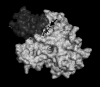 <b>FIG. 3.</b>