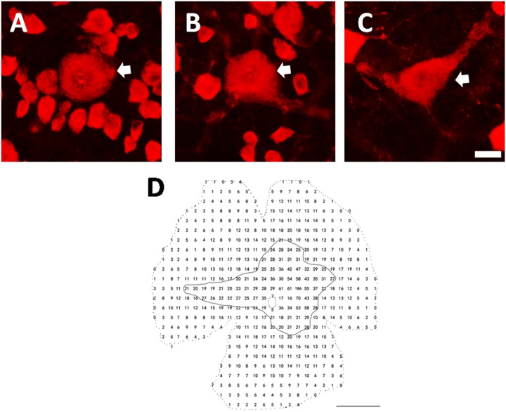 Fig 5