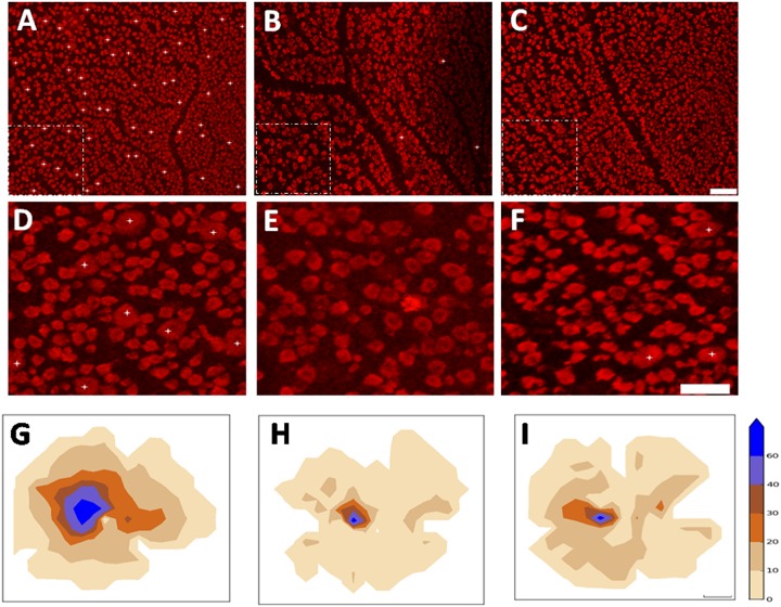 Fig 6