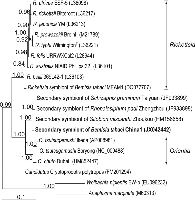 Fig 1