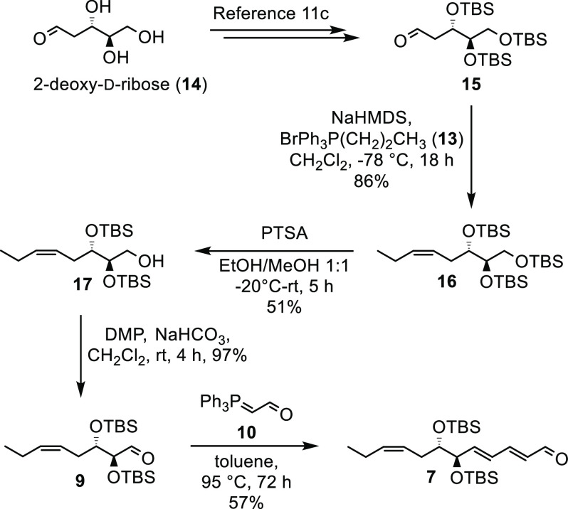 Scheme 3