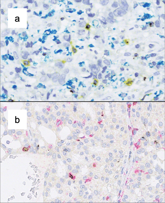 Fig. 1