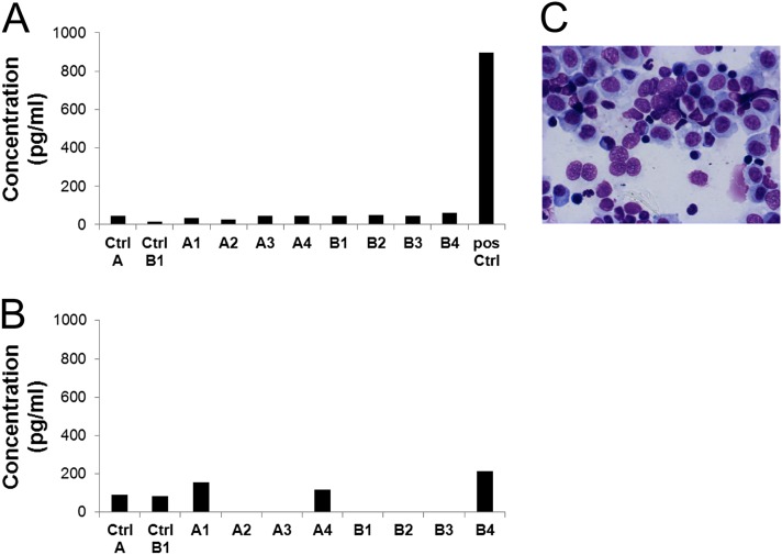 Figure 5.