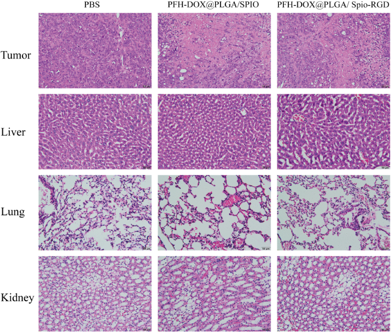 Fig. 10