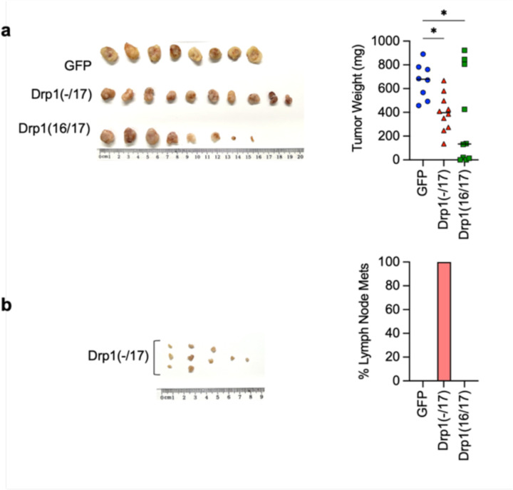 Extended Data Figure 10.