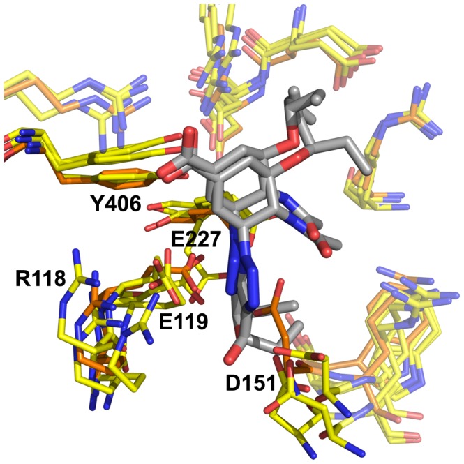 Figure 12