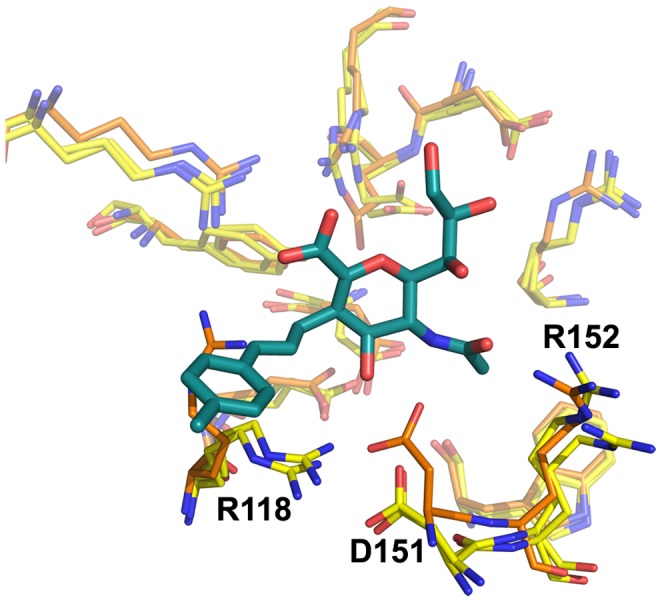 Figure 13