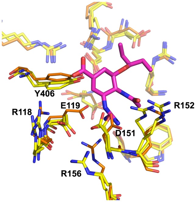 Figure 7