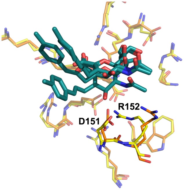 Figure 10