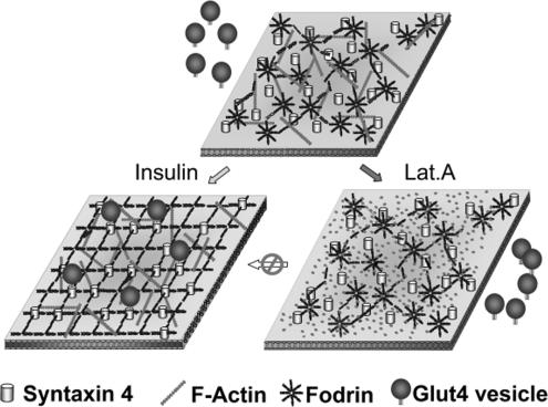 Figure 10.