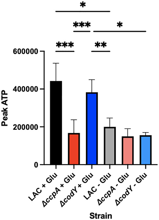 FIG 6