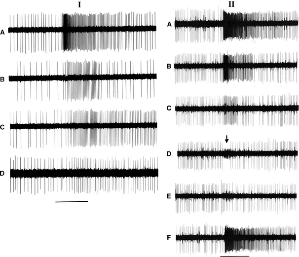 Fig. 5