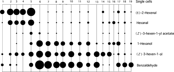 Fig. 6